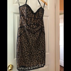 Gorgeous sexy nbw corset style dress ( Bebe)